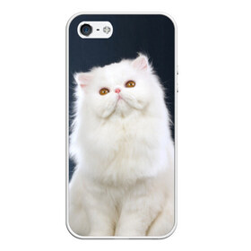 Чехол силиконовый для Телефон Apple iPhone 5/5S с принтом Кот в Тюмени, Силикон | Область печати: задняя сторона чехла, без боковых панелей | домашняя | животное | кот | котэ | кошка