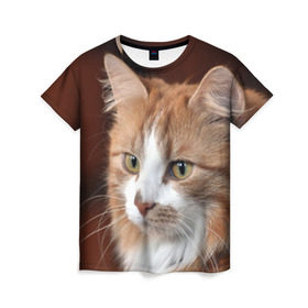 Женская футболка 3D с принтом Кот в Тюмени, 100% полиэфир ( синтетическое хлопкоподобное полотно) | прямой крой, круглый вырез горловины, длина до линии бедер | домашняя | животное | кот | котэ | кошка