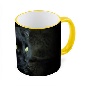 Кружка 3D с принтом Черный в Тюмени, керамика | ёмкость 330 мл | домашняя | животное | кот | котэ | кошка | черный