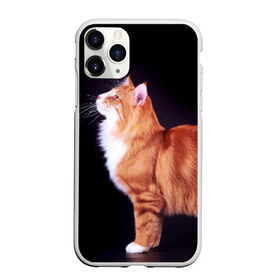 Чехол для iPhone 11 Pro матовый с принтом Рыжий кот в Тюмени, Силикон |  | Тематика изображения на принте: домашняя | животное | кот | котэ | кошка | рыжая