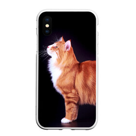 Чехол для iPhone XS Max матовый с принтом Рыжий кот в Тюмени, Силикон | Область печати: задняя сторона чехла, без боковых панелей | Тематика изображения на принте: домашняя | животное | кот | котэ | кошка | рыжая