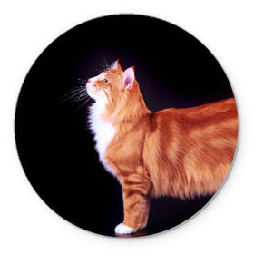Коврик круглый с принтом Рыжий кот в Тюмени, резина и полиэстер | круглая форма, изображение наносится на всю лицевую часть | Тематика изображения на принте: домашняя | животное | кот | котэ | кошка | рыжая