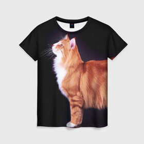 Женская футболка 3D с принтом Рыжий кот в Тюмени, 100% полиэфир ( синтетическое хлопкоподобное полотно) | прямой крой, круглый вырез горловины, длина до линии бедер | домашняя | животное | кот | котэ | кошка | рыжая