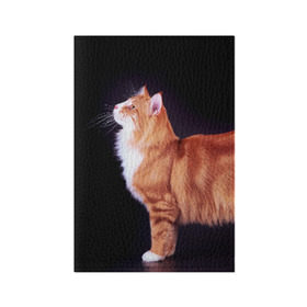 Обложка для паспорта матовая кожа с принтом Рыжий кот в Тюмени, натуральная матовая кожа | размер 19,3 х 13,7 см; прозрачные пластиковые крепления | Тематика изображения на принте: домашняя | животное | кот | котэ | кошка | рыжая