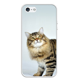 Чехол силиконовый для Телефон Apple iPhone 5/5S с принтом Кот в Тюмени, Силикон | Область печати: задняя сторона чехла, без боковых панелей | Тематика изображения на принте: домашняя | животное | кот | котэ | кошка