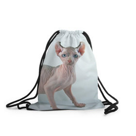 Рюкзак-мешок 3D с принтом Сфинкс в Тюмени, 100% полиэстер | плотность ткани — 200 г/м2, размер — 35 х 45 см; лямки — толстые шнурки, застежка на шнуровке, без карманов и подкладки | Тематика изображения на принте: домашняя | животное | кот | котэ | кошка | сфинкс