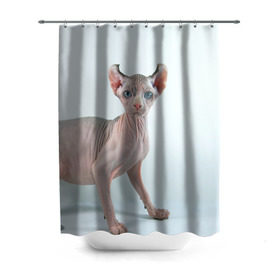 Штора 3D для ванной с принтом Сфинкс в Тюмени, 100% полиэстер | плотность материала — 100 г/м2. Стандартный размер — 146 см х 180 см. По верхнему краю — пластиковые люверсы для креплений. В комплекте 10 пластиковых колец | домашняя | животное | кот | котэ | кошка | сфинкс