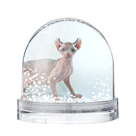Снежный шар с принтом Сфинкс в Тюмени, Пластик | Изображение внутри шара печатается на глянцевой фотобумаге с двух сторон | домашняя | животное | кот | котэ | кошка | сфинкс