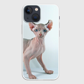 Чехол для iPhone 13 mini с принтом Сфинкс в Тюмени,  |  | Тематика изображения на принте: домашняя | животное | кот | котэ | кошка | сфинкс
