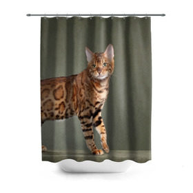 Штора 3D для ванной с принтом Бенгальский кот в Тюмени, 100% полиэстер | плотность материала — 100 г/м2. Стандартный размер — 146 см х 180 см. По верхнему краю — пластиковые люверсы для креплений. В комплекте 10 пластиковых колец | бенгальский | домашняя | животное | кот | котэ | кошка