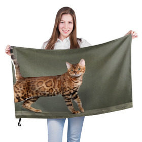 Флаг 3D с принтом Бенгальский кот в Тюмени, 100% полиэстер | плотность ткани — 95 г/м2, размер — 67 х 109 см. Принт наносится с одной стороны | бенгальский | домашняя | животное | кот | котэ | кошка