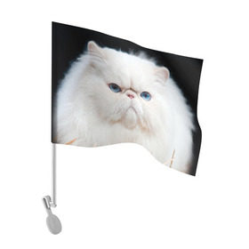Флаг для автомобиля с принтом Персидский кот в Тюмени, 100% полиэстер | Размер: 30*21 см | домашняя | животное | кот | котэ | кошка | персидский