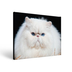 Холст прямоугольный с принтом Персидский кот в Тюмени, 100% ПВХ |  | Тематика изображения на принте: домашняя | животное | кот | котэ | кошка | персидский