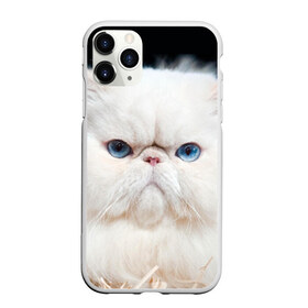 Чехол для iPhone 11 Pro матовый с принтом Персидский кот в Тюмени, Силикон |  | Тематика изображения на принте: домашняя | животное | кот | котэ | кошка | персидский