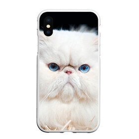 Чехол для iPhone XS Max матовый с принтом Персидский кот в Тюмени, Силикон | Область печати: задняя сторона чехла, без боковых панелей | Тематика изображения на принте: домашняя | животное | кот | котэ | кошка | персидский