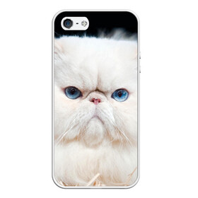 Чехол для iPhone 5/5S матовый с принтом Персидский кот в Тюмени, Силикон | Область печати: задняя сторона чехла, без боковых панелей | Тематика изображения на принте: домашняя | животное | кот | котэ | кошка | персидский