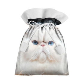 Подарочный 3D мешок с принтом Персидский кот в Тюмени, 100% полиэстер | Размер: 29*39 см | Тематика изображения на принте: домашняя | животное | кот | котэ | кошка | персидский