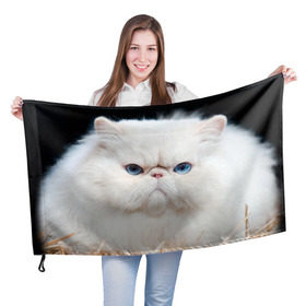 Флаг 3D с принтом Персидский кот в Тюмени, 100% полиэстер | плотность ткани — 95 г/м2, размер — 67 х 109 см. Принт наносится с одной стороны | домашняя | животное | кот | котэ | кошка | персидский