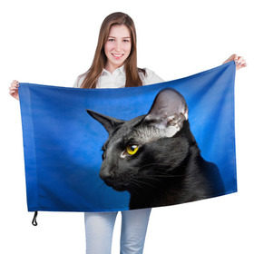 Флаг 3D с принтом Черный кот в Тюмени, 100% полиэстер | плотность ткани — 95 г/м2, размер — 67 х 109 см. Принт наносится с одной стороны | домашняя | животное | кот | котэ | кошка | черный