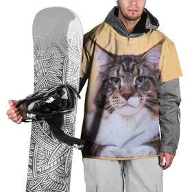 Накидка на куртку 3D с принтом Байкун в Тюмени, 100% полиэстер |  | байкун | домашняя | животное | кот | котэ | кошка