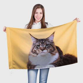 Флаг 3D с принтом Байкун в Тюмени, 100% полиэстер | плотность ткани — 95 г/м2, размер — 67 х 109 см. Принт наносится с одной стороны | байкун | домашняя | животное | кот | котэ | кошка