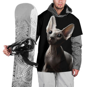 Накидка на куртку 3D с принтом Сфинкс в Тюмени, 100% полиэстер |  | домашняя | животное | кот | котэ | кошка | сфинкс