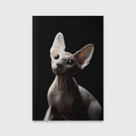 Обложка для паспорта матовая кожа с принтом Сфинкс в Тюмени, натуральная матовая кожа | размер 19,3 х 13,7 см; прозрачные пластиковые крепления | Тематика изображения на принте: домашняя | животное | кот | котэ | кошка | сфинкс