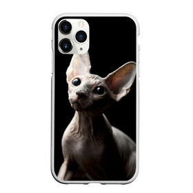 Чехол для iPhone 11 Pro матовый с принтом Сфинкс в Тюмени, Силикон |  | домашняя | животное | кот | котэ | кошка | сфинкс