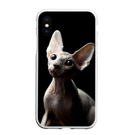 Чехол для iPhone XS Max матовый с принтом Сфинкс в Тюмени, Силикон | Область печати: задняя сторона чехла, без боковых панелей | Тематика изображения на принте: домашняя | животное | кот | котэ | кошка | сфинкс