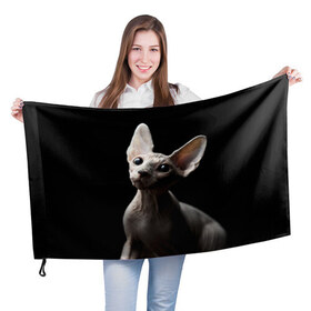 Флаг 3D с принтом Сфинкс в Тюмени, 100% полиэстер | плотность ткани — 95 г/м2, размер — 67 х 109 см. Принт наносится с одной стороны | домашняя | животное | кот | котэ | кошка | сфинкс
