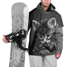 Накидка на куртку 3D с принтом Котенок в Тюмени, 100% полиэстер |  | домашняя | животное | кот | котэ | кошка