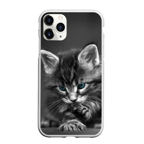 Чехол для iPhone 11 Pro матовый с принтом Котенок в Тюмени, Силикон |  | домашняя | животное | кот | котэ | кошка