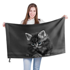 Флаг 3D с принтом Котенок в Тюмени, 100% полиэстер | плотность ткани — 95 г/м2, размер — 67 х 109 см. Принт наносится с одной стороны | домашняя | животное | кот | котэ | кошка