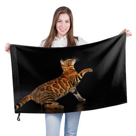 Флаг 3D с принтом Бенгальская кошка в Тюмени, 100% полиэстер | плотность ткани — 95 г/м2, размер — 67 х 109 см. Принт наносится с одной стороны | бенгальская | домашняя | животное | кот | котэ | кошка