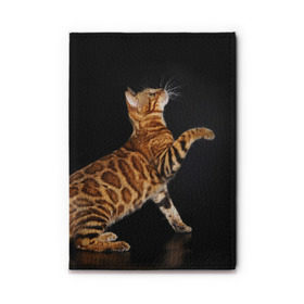 Обложка для автодокументов с принтом Бенгальская кошка в Тюмени, натуральная кожа |  размер 19,9*13 см; внутри 4 больших “конверта” для документов и один маленький отдел — туда идеально встанут права | бенгальская | домашняя | животное | кот | котэ | кошка