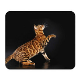 Коврик прямоугольный с принтом Бенгальская кошка в Тюмени, натуральный каучук | размер 230 х 185 мм; запечатка лицевой стороны | бенгальская | домашняя | животное | кот | котэ | кошка
