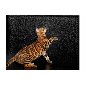 Обложка для студенческого билета с принтом Бенгальская кошка в Тюмени, натуральная кожа | Размер: 11*8 см; Печать на всей внешней стороне | Тематика изображения на принте: бенгальская | домашняя | животное | кот | котэ | кошка