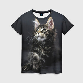 Женская футболка 3D с принтом Кот в Тюмени, 100% полиэфир ( синтетическое хлопкоподобное полотно) | прямой крой, круглый вырез горловины, длина до линии бедер | домашняя | животное | кот | котэ | кошка