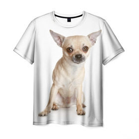 Мужская футболка 3D с принтом Чихуахуа в Тюмени, 100% полиэфир | прямой крой, круглый вырез горловины, длина до линии бедер | Тематика изображения на принте: животное | порода | собака | чихуахуа