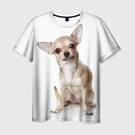 Мужская футболка 3D с принтом Чихуахуа в Тюмени, 100% полиэфир | прямой крой, круглый вырез горловины, длина до линии бедер | Тематика изображения на принте: животное | порода | собака | чихуахуа