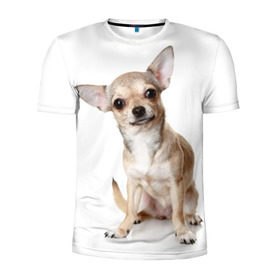 Мужская футболка 3D спортивная с принтом Чихуахуа в Тюмени, 100% полиэстер с улучшенными характеристиками | приталенный силуэт, круглая горловина, широкие плечи, сужается к линии бедра | Тематика изображения на принте: животное | порода | собака | чихуахуа
