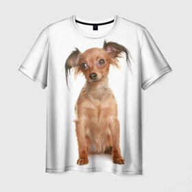 Мужская футболка 3D с принтом Той-терьер в Тюмени, 100% полиэфир | прямой крой, круглый вырез горловины, длина до линии бедер | Тематика изображения на принте: животное | порода | собака | той терьер
