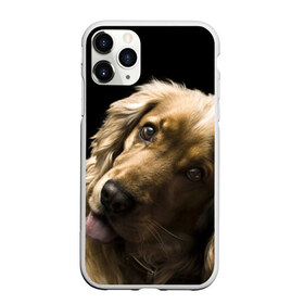 Чехол для iPhone 11 Pro матовый с принтом Английский кокер-спаниель в Тюмени, Силикон |  | английский кокер спаниель | животно | порода | собака