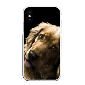 Чехол для iPhone XS Max матовый с принтом Английский кокер-спаниель в Тюмени, Силикон | Область печати: задняя сторона чехла, без боковых панелей | английский кокер спаниель | животно | порода | собака