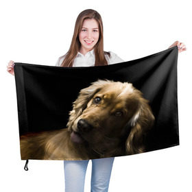 Флаг 3D с принтом Английский кокер-спаниель в Тюмени, 100% полиэстер | плотность ткани — 95 г/м2, размер — 67 х 109 см. Принт наносится с одной стороны | английский кокер спаниель | животно | порода | собака