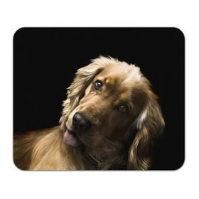 Коврик прямоугольный с принтом Английский кокер-спаниель в Тюмени, натуральный каучук | размер 230 х 185 мм; запечатка лицевой стороны | английский кокер спаниель | животно | порода | собака