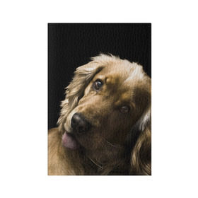 Обложка для паспорта матовая кожа с принтом Английский кокер-спаниель в Тюмени, натуральная матовая кожа | размер 19,3 х 13,7 см; прозрачные пластиковые крепления | английский кокер спаниель | животно | порода | собака