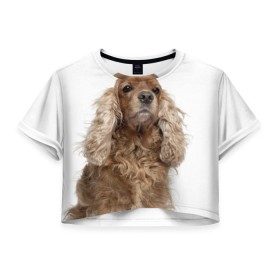 Женская футболка 3D укороченная с принтом Английский кокер-спаниель в Тюмени, 100% полиэстер | круглая горловина, длина футболки до линии талии, рукава с отворотами | английский кокер спаниель | порода | собака