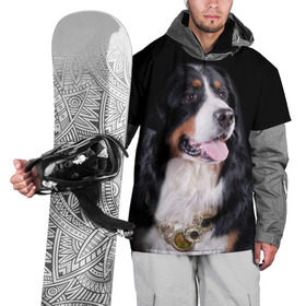 Накидка на куртку 3D с принтом Бернский зенненхунд в Тюмени, 100% полиэстер |  | бернский зенненхунд | животное | порода | собака
