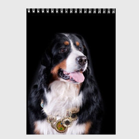 Скетчбук с принтом Бернский зенненхунд в Тюмени, 100% бумага
 | 48 листов, плотность листов — 100 г/м2, плотность картонной обложки — 250 г/м2. Листы скреплены сверху удобной пружинной спиралью | бернский зенненхунд | животное | порода | собака
